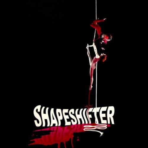 Shapeshifter Circus, Aerialists, Live Band, Circus, Theater, Performance