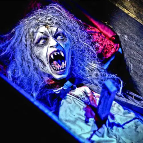 Scream in the Dark Haunted Halloween Maze, Home Haunt, Lake Forest, CA, Orange County