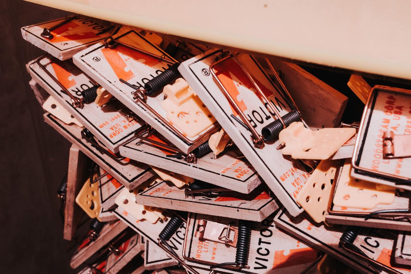 Hatch Escapes' Lab Rat Is A MustPlay NarrativeFocused Escape Room