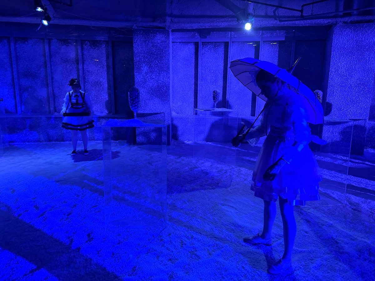 The Nutcracker Suite Ballet is an Incredible Immersive Treat